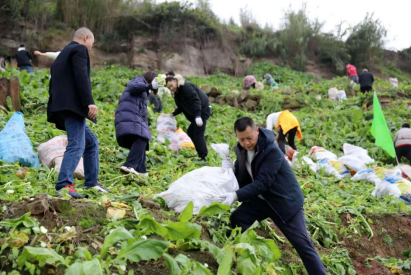 1743649802608082.png image.png