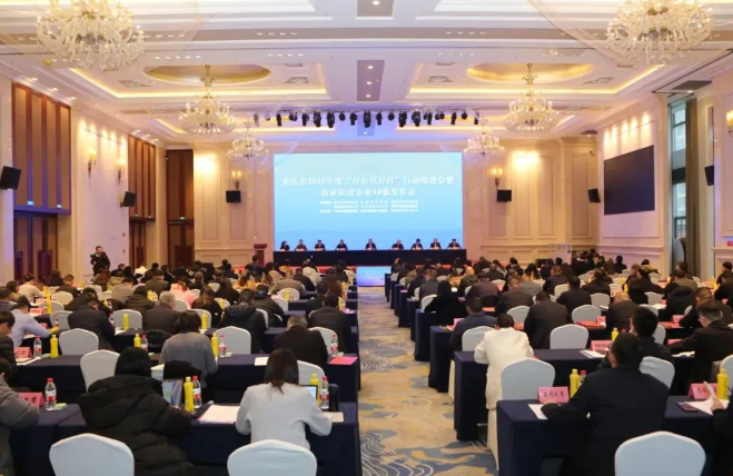 1766453016776728.png image.png